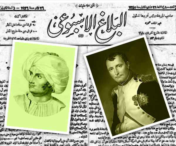 مذكرات المملوك علي